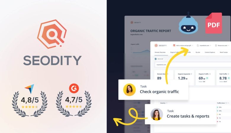Seodity: Your Gateway to SEO Success