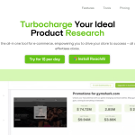 Roach.AI: Streamline E-commerce Strategies with AI Insights